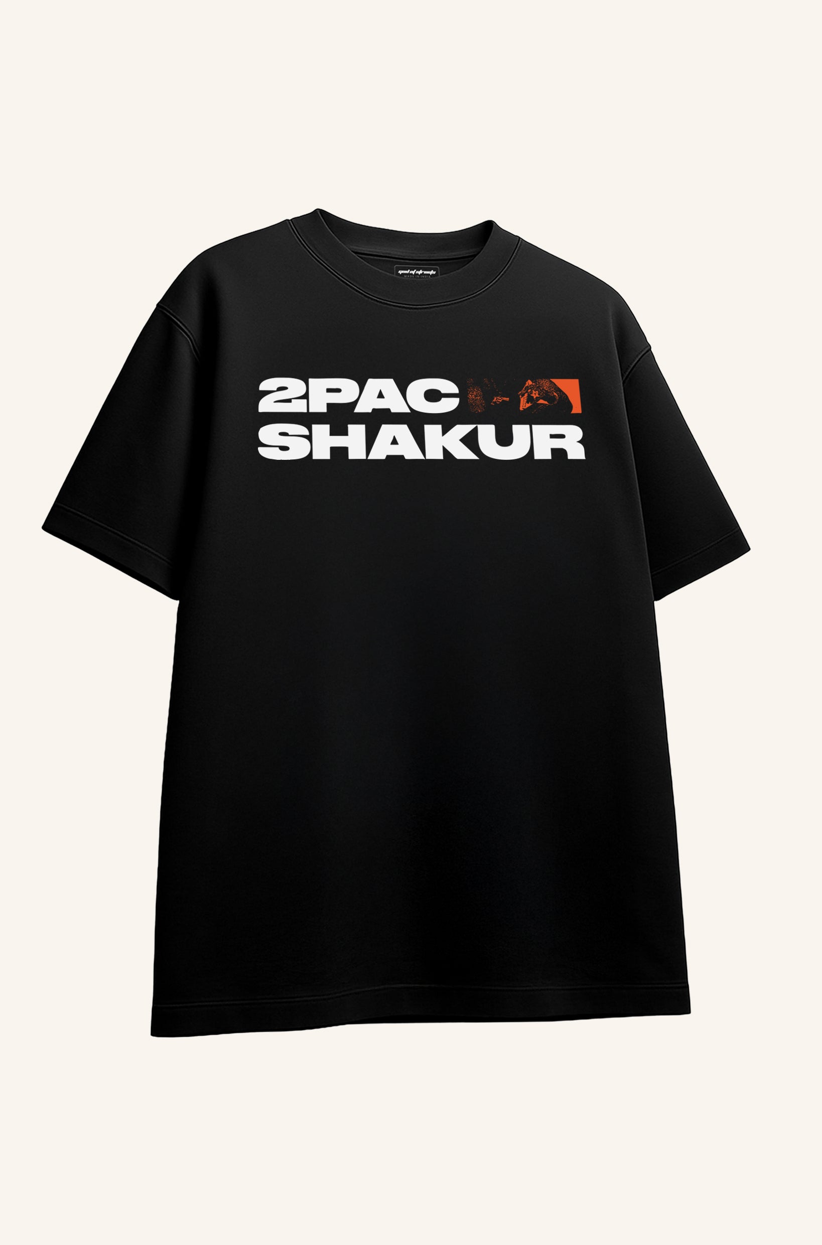 2pac can Never change