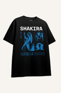 Shakira tour